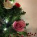 Lynn Patton - Facebook