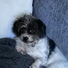 Lynn Patton - @lynnpatton_ - TikTok
