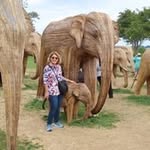 Lynn Padula-Pease - @padulapeaselynn - Instagram
