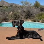 Lynn Pease - @lmpeasy - Instagram