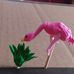 Lynn Pelkey - Facebook