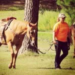 Lynn Pendleton - @tootie8398 - Instagram