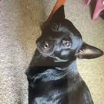 Lynn Pendleton - @lynn.pendleton53 - Instagram