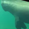 Lynn Penn - @lynn.penn7 - TikTok