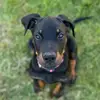 Lynnee Pepin - @lynnee.pepin - TikTok