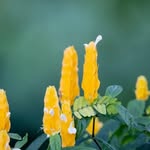 Lynn Pickard - @lynn_pickard63017436 - Instagram