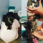 Montanna Lynn Maire Pickard - @montannalynnmaire - Instagram