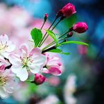 Lynn Pickering - @lp_orchardinteriors - Instagram