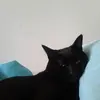 Lynn Pickering - @lynn.pickering5 - TikTok
