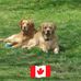 Lynne Pickering - Facebook