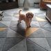 Lynne Pickering - Facebook