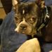 Lynn Pinkham - Facebook