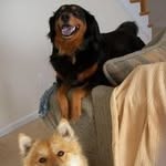 Lynn Pitts - @vcky_pitts - Instagram