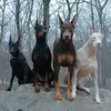 Lynn Pitts - @lynn.pitts - TikTok