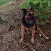 Lynn Pitts - @lynn.pitts1 - TikTok