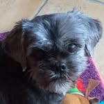 Lynn Pollock - @pollock2106 - Instagram