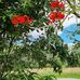Lynn Pomeroy - Facebook