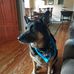 Lynn Posey - Facebook