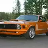 lynn Potts - @lynn.potts2 - TikTok
