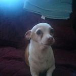 Lynn Pressley - @lynn.pressley - Instagram