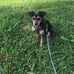 Lynn Pressley - Facebook
