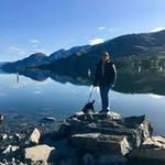 Lynn Pressley - @lynn.paintings - Instagram