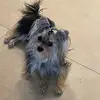 lynnpuccio123 - @lynnpuccio123 - TikTok