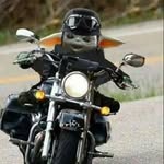 Lynn Quarles - @lynnquarles - Instagram