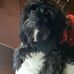 Lynn Young Query - Facebook