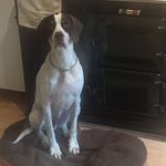 Lynn Quick - @lynns_aga - Instagram