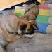 Lynn Quist - Facebook
