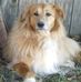 Raelynn Ragle - Facebook