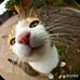 Grexine Lynn Racsa - Facebook