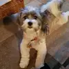 Lynn Raney108 - @lynnraney108 - TikTok