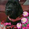 lynnrawlings223 - @lynnrawlings223 - TikTok