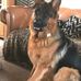 Lyn Rawson - Facebook