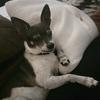 lynnraymer585 - @lynnar3171 - TikTok