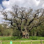 Lynn Reardon - @lynnr4688 - Instagram