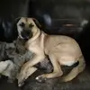 lynnreberkaufman - @lynnreberkaufman - TikTok