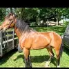 lynnregister751 - @lynnregister751 - TikTok