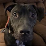 Lynnette Reiser - @lynnettereiser - Instagram