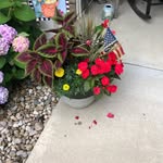 Lynn Ricker Marshall - @lynnellenrn - Instagram