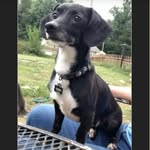 Lynn Riggin Mercer - @mercer_lynn - Instagram