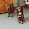 Lynn Ripley - @lynn.ripley - TikTok