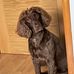 Lynn Ripley - Facebook