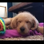 Dixie lynn Galyon Ritchey - @dixielynn01 - Instagram
