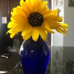 Leslie Lynn Ritchey - @leslielynnritchey - Instagram