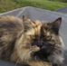 Lynn Ritchey - Facebook