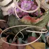 Lynn Owen - @lynnroach36 - TikTok