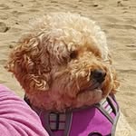 Lynn Roach - @lynnroach203 - Instagram